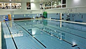 Image result for Leek Swimming Club