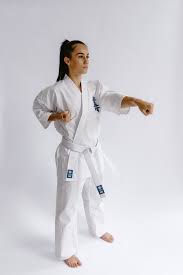Image result for Kyokushin Karate