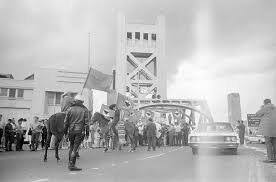 Image result for Pilgrims Sac