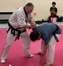 Image result for Redhill Karate Association
