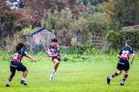 Image result for Dunstablians Rugby Union Football Club
