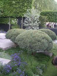 Image result for Ulf Nordfjell