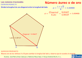 Image result for numero aureo