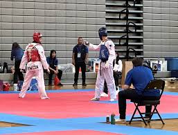 Image result for North West TaeKwonDo
