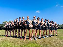 Image result for Sydenham Ladies Netball Club
