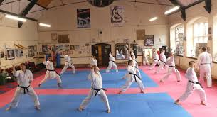 Image result for Broadwell Karate Club