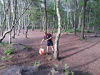 Image result for Manchester & District Orienteering Club