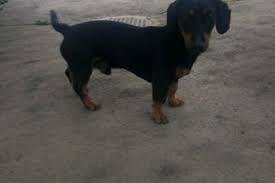 Image result for site:buyreklama.ru/*