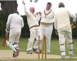 Image result for Waresley Cricket Club