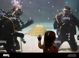 Image result for Cleveland Divers