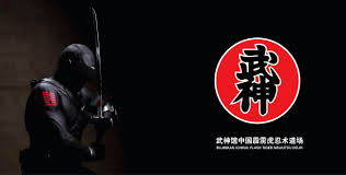 Image result for Bujinkan Ninpo Dojo