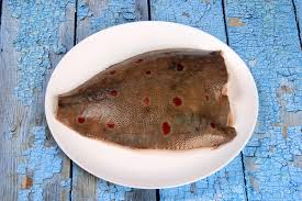 Image result for Pleuronectes platessa
