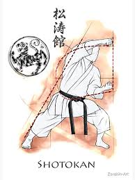 Image result for ZOKU SHOTOKAN KARATE (Baldock)