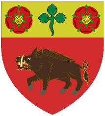 Image result for Windlesham United