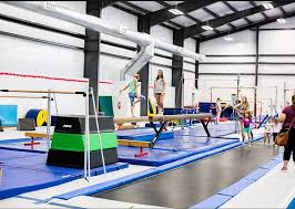 Image result for Mo-Gylity Gymnastics Club