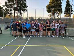 Image result for Thornbury Pickleball Club