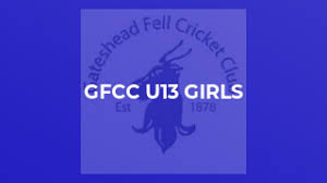Image result for Gateshead Fell Cricket Club