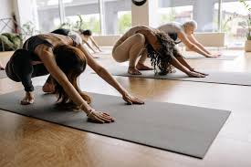 Image result for Hatha Yoga Club