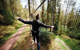 Image result for Go Ape! Alice Holt