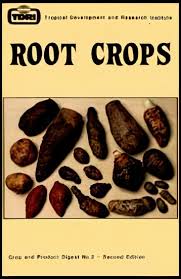 Attēlu rezultāti vaicājumam “Sagittaria sagittifolia fruit”