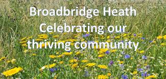 Image result for Broadbridge Heath Cricket Club