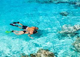 Image result for East Snorkellers
