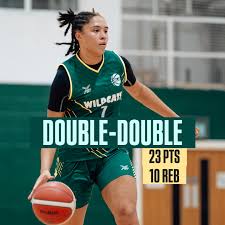 Image result for Nottingham Wildcats