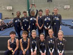 Image result for Hawth Gymnastics, Crawley