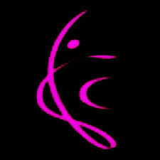 Image result for Llanelli Athletic Club