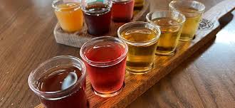 Image result for blazing vantoms