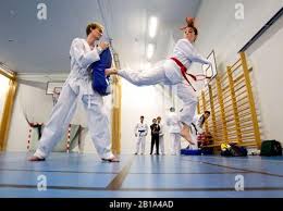 Image result for Dujon Tae Kwon Do