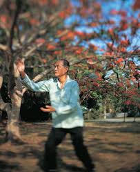 Image result for Tai Chi for Health