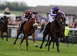 Image result for The Horse Racing Club