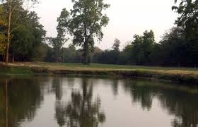 Image result for Patna Bowling Club