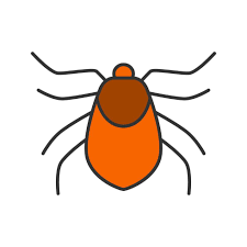 Attēlu rezultāti vaicājumam “Acari”