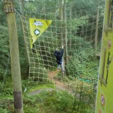 Image result for Go Ape! Dalby