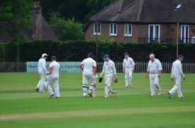 Image result for Mayfield Cricket Club