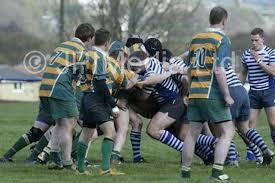 Image result for Halifax Vandals Rugby Union Football Club