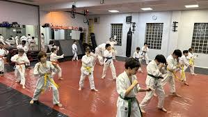 Image result for Tokei Martial Arts Club