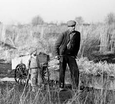 Résultat de recherche d'images pour "farm security administration photo"