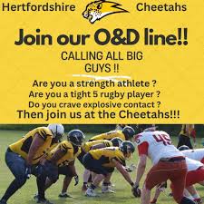 Image result for Chiltern Cheetahs American Football Club