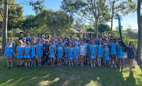 Image result for Lawn Netball Club