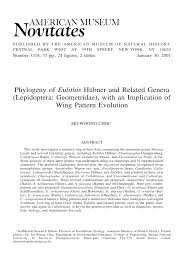 Attēlu rezultāti vaicājumam “Eulithis pyropata”