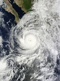 Image result for Hurricanes