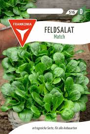 Image result for Feldsalat