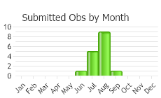 Attēlu rezultāti vaicājumam “Dicranella crispa”
