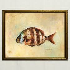 Image result for Diplodus cervinus