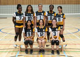 Image result for Tendring Volleyball Club
