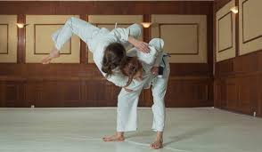 Image result for Halton BJJ & Judo Club