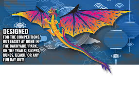 Image result for BARNET and WHETSTONE CHANGQUAN FLYING DRAGON